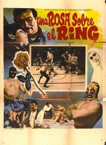 «Una rosa sobre el ring»