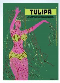 «Tulipa»