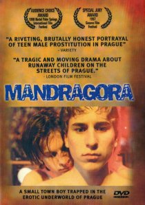 «Мандрагора»