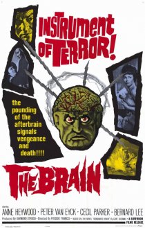 «The Brain»