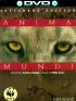 Постер «Душа мира»