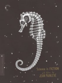 «L'hippocampe, ou 'Cheval marin'»