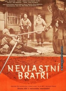 «Сводные братья»