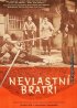 Постер «Сводные братья»