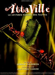 «Attaville, la véritable histoire des fourmis»