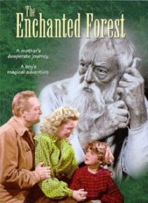 «The Enchanted Forest»