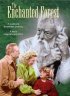 Постер «The Enchanted Forest»
