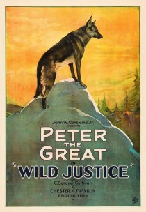 «Wild Justice»