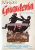 Постер «Маленькие ниндзя»