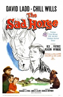 «The Sad Horse»
