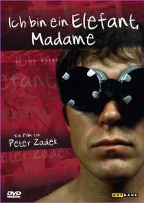 «Я слон, мадам»