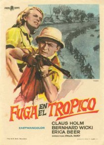 «Flucht in die Tropennacht»