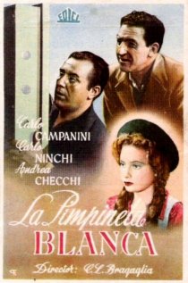 «La primula bianca»