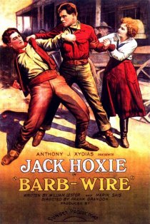 «Barb Wire»