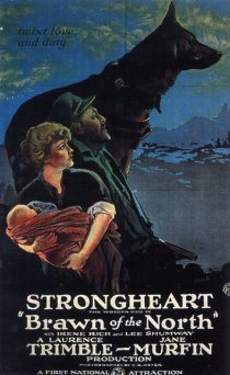 «Браун с Севера»