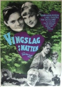 «Vingslag i natten»