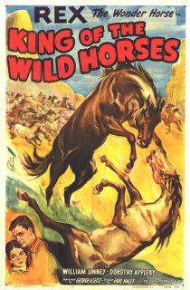 «The King of Wild Horses»