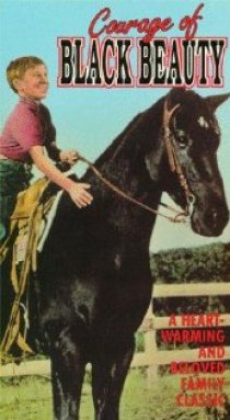 «Courage of Black Beauty»
