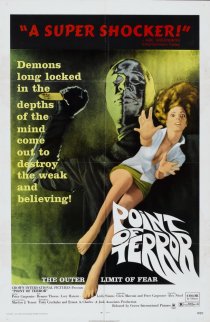 «Point of Terror»