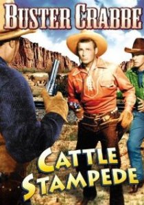 «Cattle Stampede»