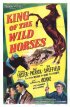 Постер «King of the Wild Horses»
