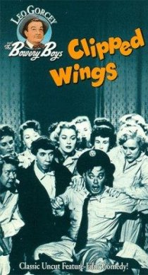«Clipped Wings»