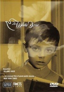 «The White Dove»
