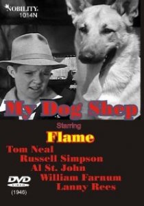 «My Dog Shep»