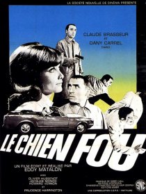 «Le chien fou»