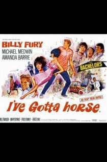 «I've Gotta Horse»