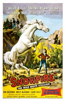 «Snowfire»