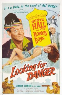 «Looking for Danger»