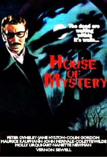 «Дом загадок»