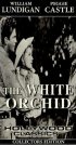 Постер «The White Orchid»
