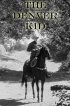 Постер «The Denver Kid»