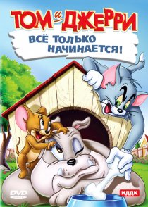 «Кот играет в боулинг»