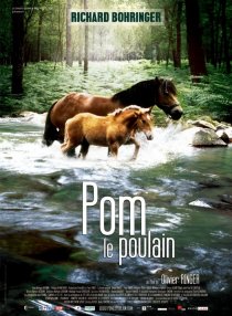 «Pom, le poulain»