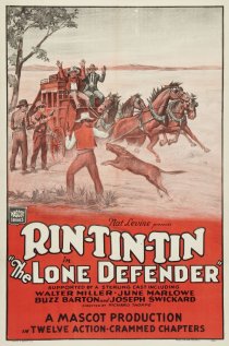 «The Lone Defender»