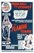 Постер «The Flaming Teenage»
