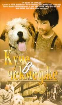 «Собака в ящике»
