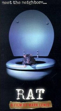 «Rat»