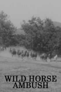 «Wild Horse Ambush»