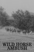 Постер «Wild Horse Ambush»