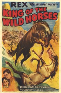 «King of the Wild Horses»