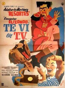 «Te vi en tv»