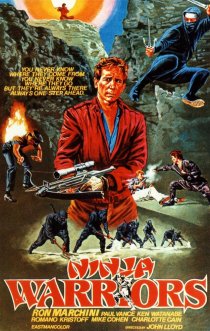 «Ninja Warriors»