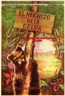 «L'incanto della foresta»