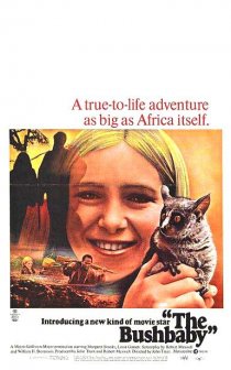«The Bushbaby»