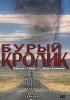 Постер «Бурый кролик»