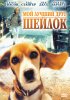 Постер «Мой лучший друг Шейлок»